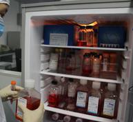 心肌细胞培养（威斯腾生物-中关村生物医学研发检测共享平台！）