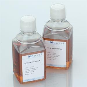 兔抗猴IgG（H+L）抗血清|现货供应