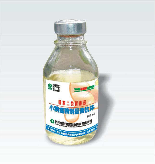 磷酸化粘附相关激酶抗体