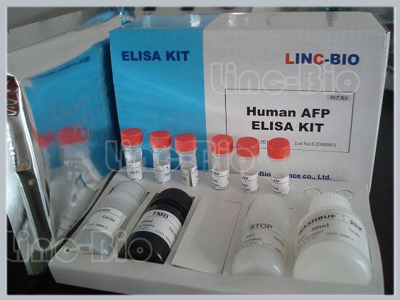 乳腺癌转移抑制基因1抗体