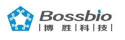 大鼠胸腺基质淋巴生成素（TSLP)