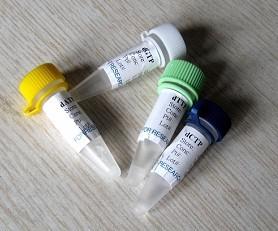 内分泌腺来源血管内皮生长因子(EG-VEGF)重组蛋白