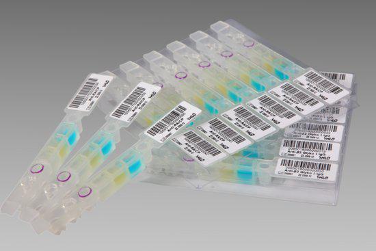 血管内皮生长因子D(VEGFD)重组蛋白