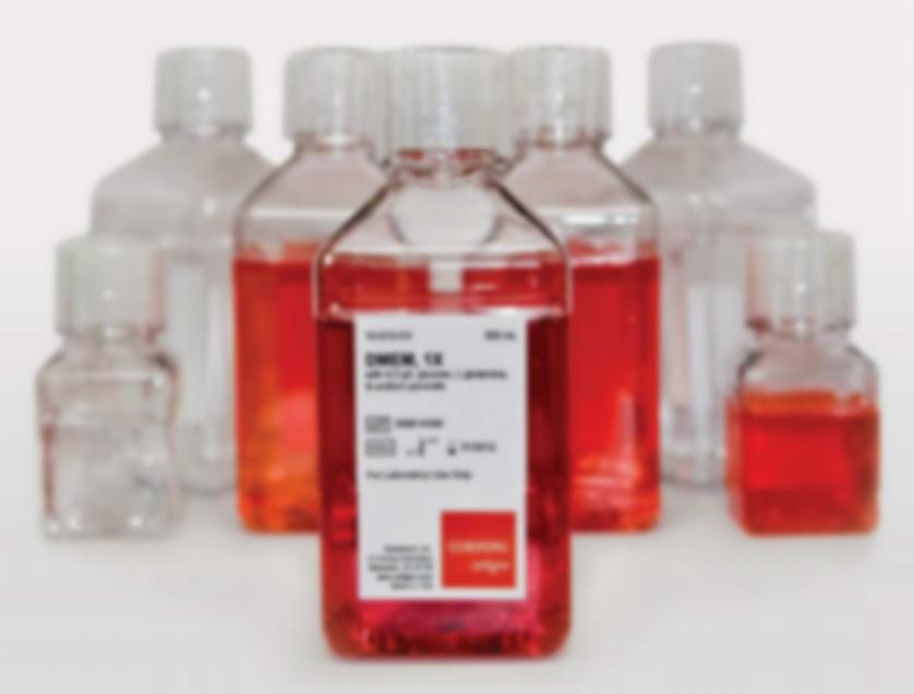 间充质干细胞无血清培养基