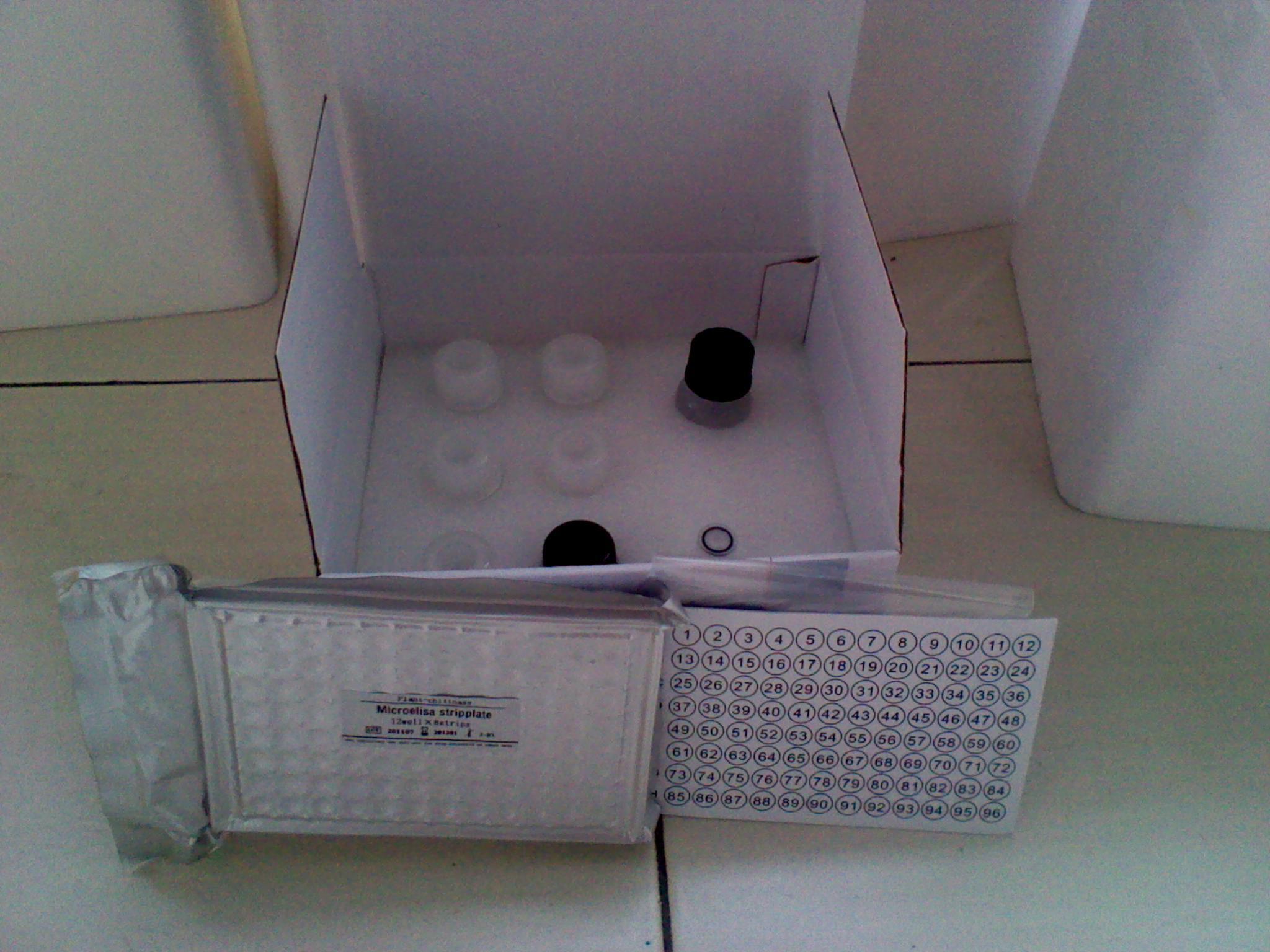 Omega质粒抽提试剂盒系列