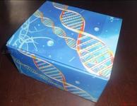 供应小鼠叶酸(FA)ELISA Kit现货，特价