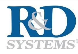 Recombinant Human HB-EGF (250 UG)