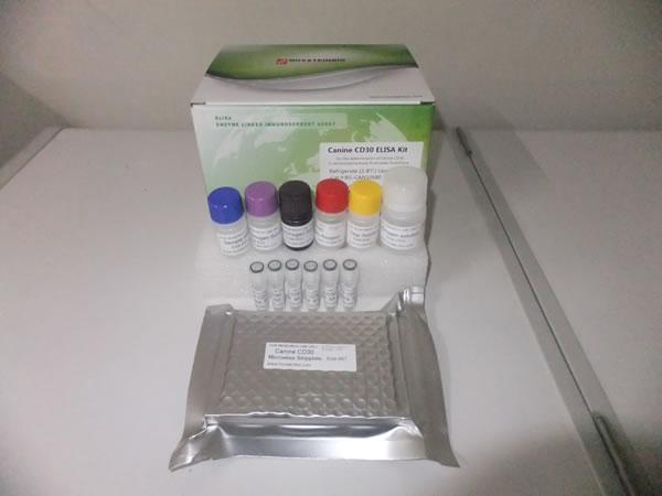 原装现货 人c-sis ELISA Kit 进口促销
