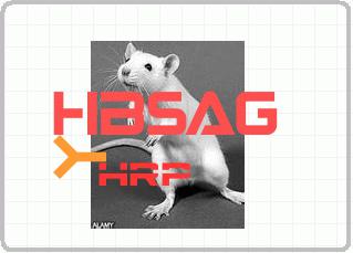 HRP标记小鼠anti-HBsAg单克隆抗体