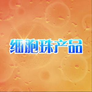 鼎国自产 G422 小鼠脑神经胶质母细胞瘤细胞株 现货供应7个工作日