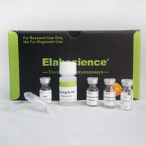 大鼠elisa kit、大鼠elisa试剂盒