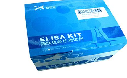 小鼠5核苷酸酶(5-NT)ELISA Kit【促销中】