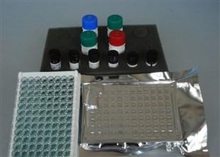 大鼠信号转导分子7(Smad7)ELISA试剂盒
