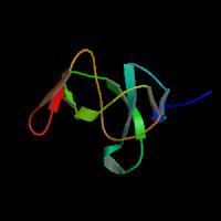 大鼠内分泌腺来源的血管内皮生长因子(EG-VEGF)elisa试剂盒