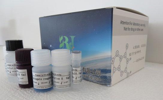小鼠血管生成素4(ANG-4)ELISA试剂盒价格