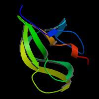 大鼠可溶性CD30配体(sCD30L)elisa试剂盒