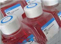 麦芽浸粉琼脂(MEA培养基