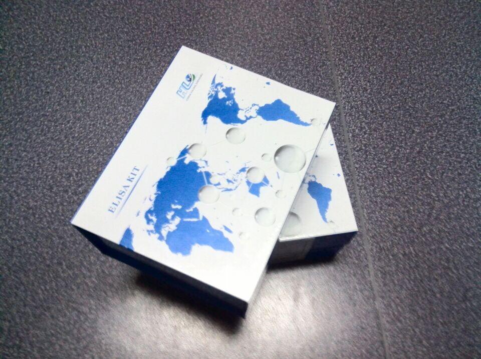 小鼠3-硝基酪氨酸（3-NT）ELISA试剂盒