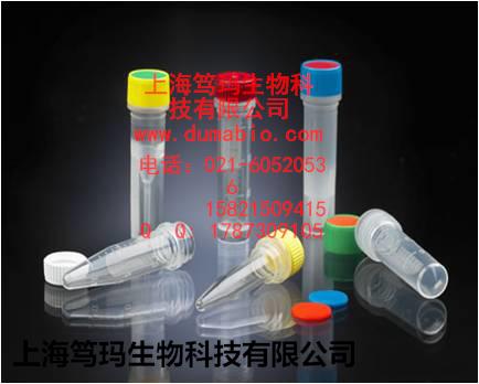 小鼠巨噬细胞