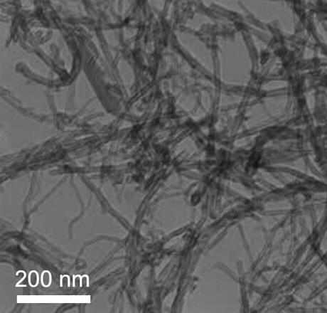 氨基化多壁碳纳米管