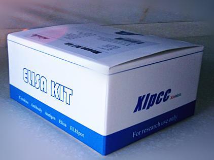 大鼠胰腺癌标志物CA242ELISA试剂盒