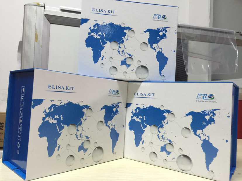 人血管内皮细胞生长因子(VEGF)酶联免疫试剂盒