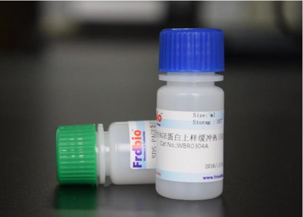 非变性PAGE蛋白上样缓冲液(5X) 