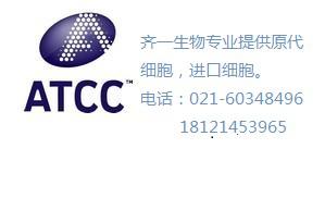 人脐静脉内皮细胞