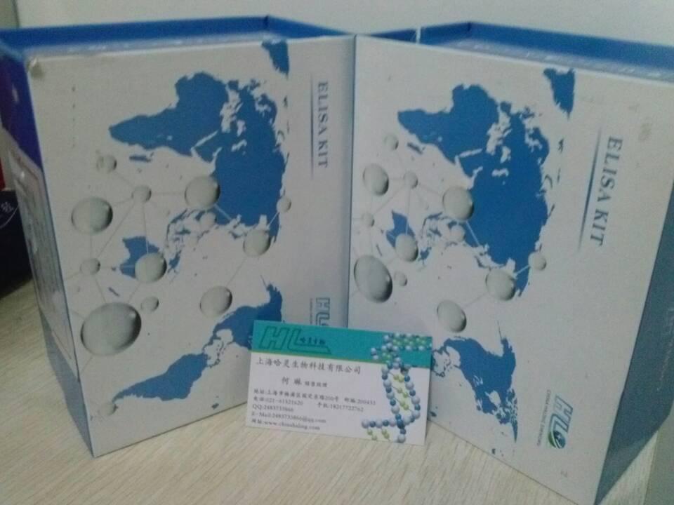 人肺表面活性物质相关蛋白A(SP-A)酶联免疫试剂盒