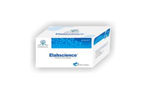 小鼠基质金属蛋白酶10(MMP-10)酶联免疫吸附测定试剂盒