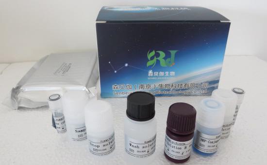 大鼠肾损伤分子1(Kim-1)ELISA检测试剂盒