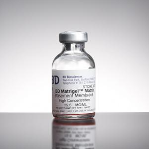 基质胶（ 经过人胚胎干细胞培养验证）