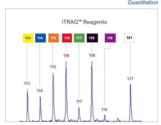 iTRAQ标记定量蛋白质组学技术