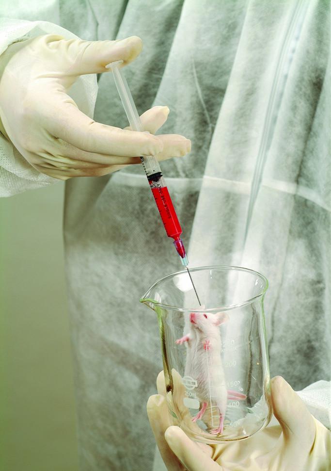 Anti-CD3/FITC  荧光素标记兔抗CD3抗体IgG