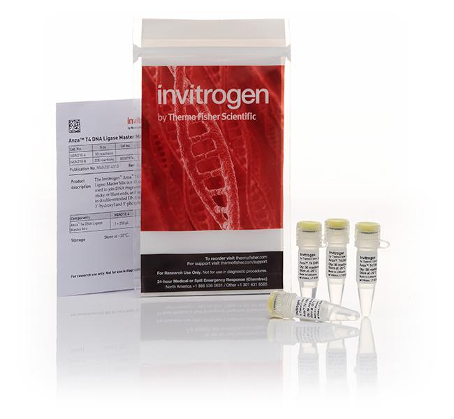 T4 PNK 试剂盒  DNA/RNA 修饰酶 