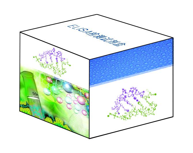 大鼠抗心磷脂抗体IgG(ACA-IgG)ELISA Kit