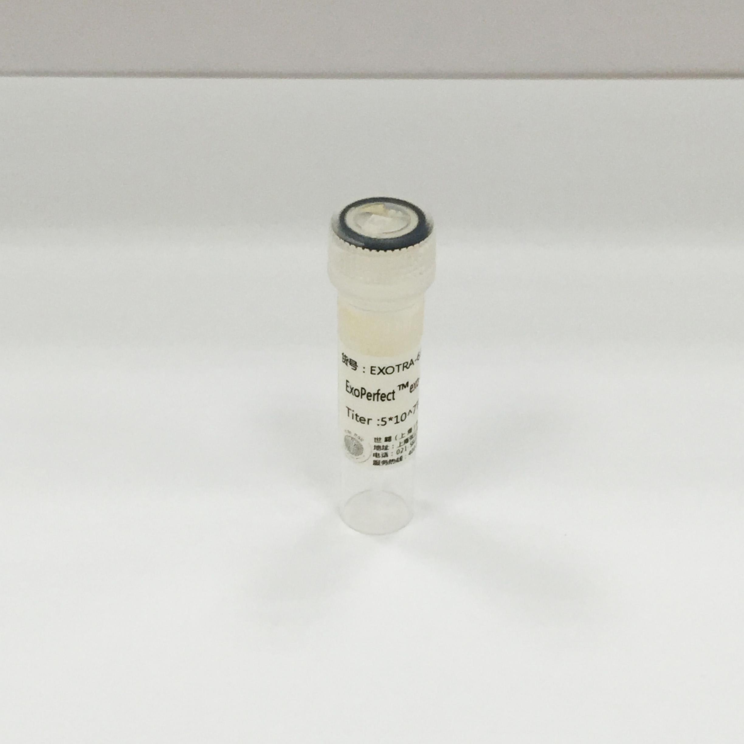 靶向Exosome慢病毒载体