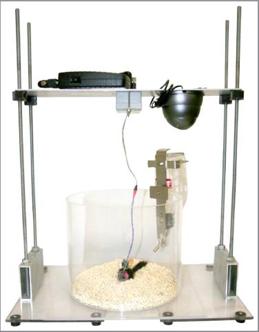 神经递质检测系统
