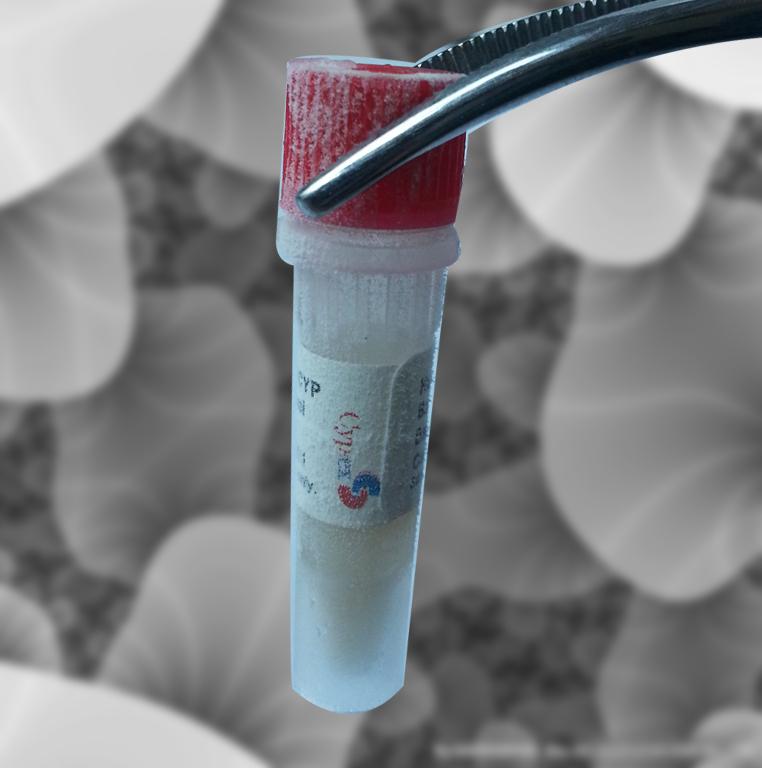 谷胱甘肽转移酶A1