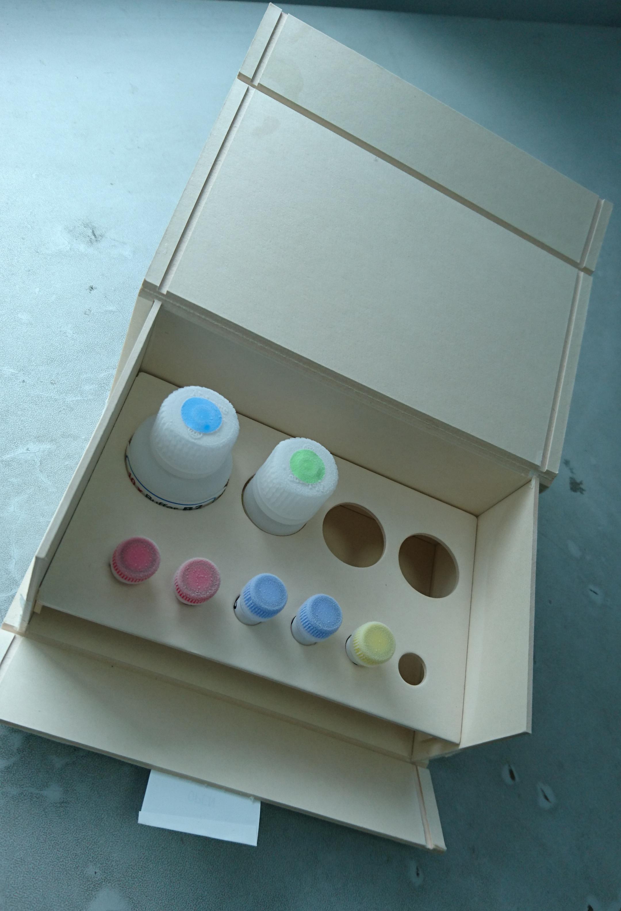 用于BSEP囊泡法的试剂盒