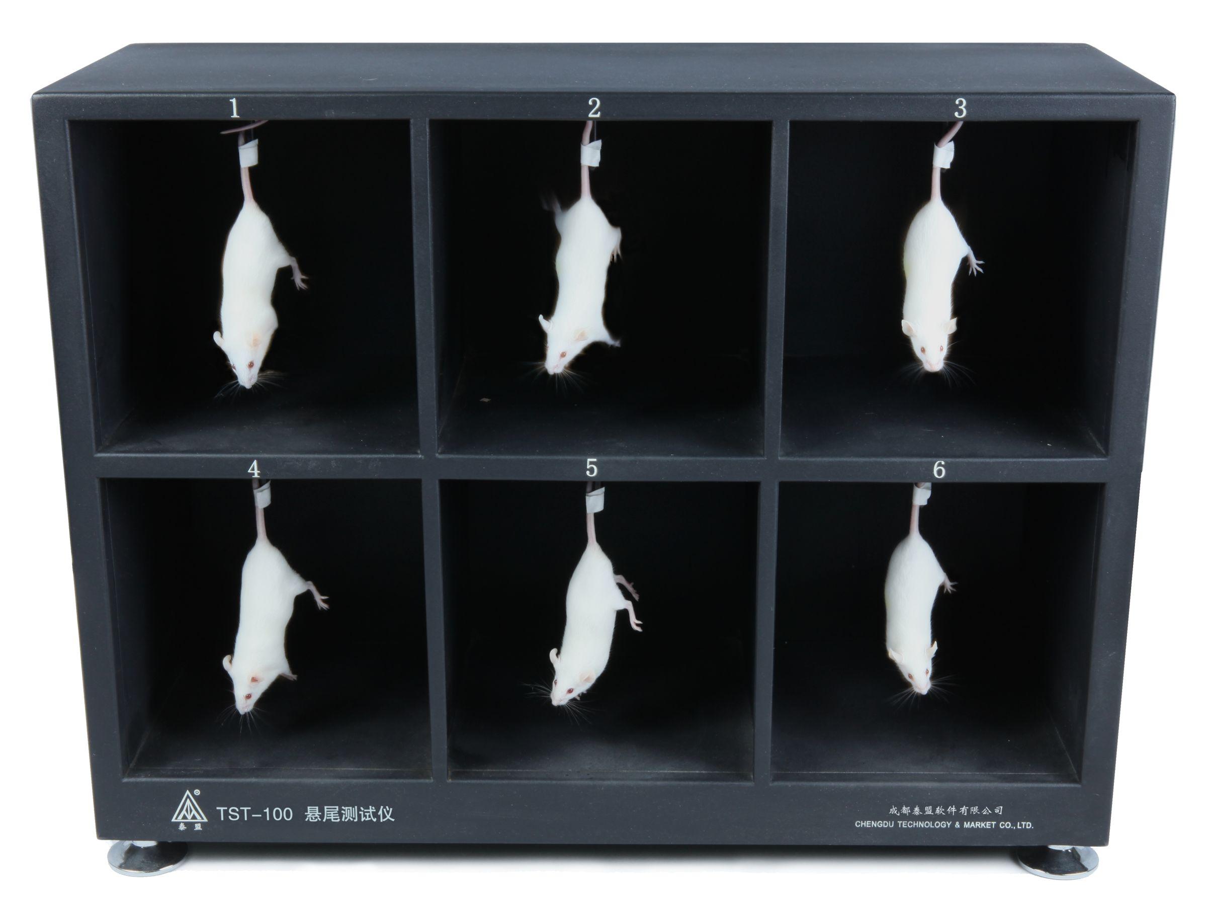 泰盟 悬尾测试仪TST-100