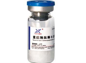 基因工程生产重组羧肽酶B-上海雅心生物