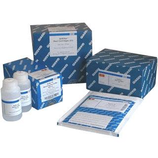 人穿孔素/成孔蛋白(PF/PFP)检测试剂盒