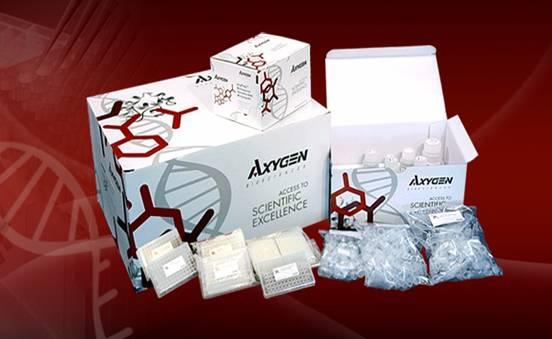 人CD4分子(CD4)检测试剂盒