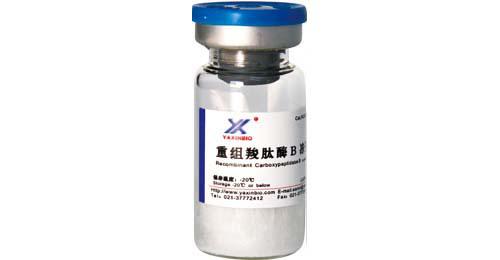 羧肽酶B