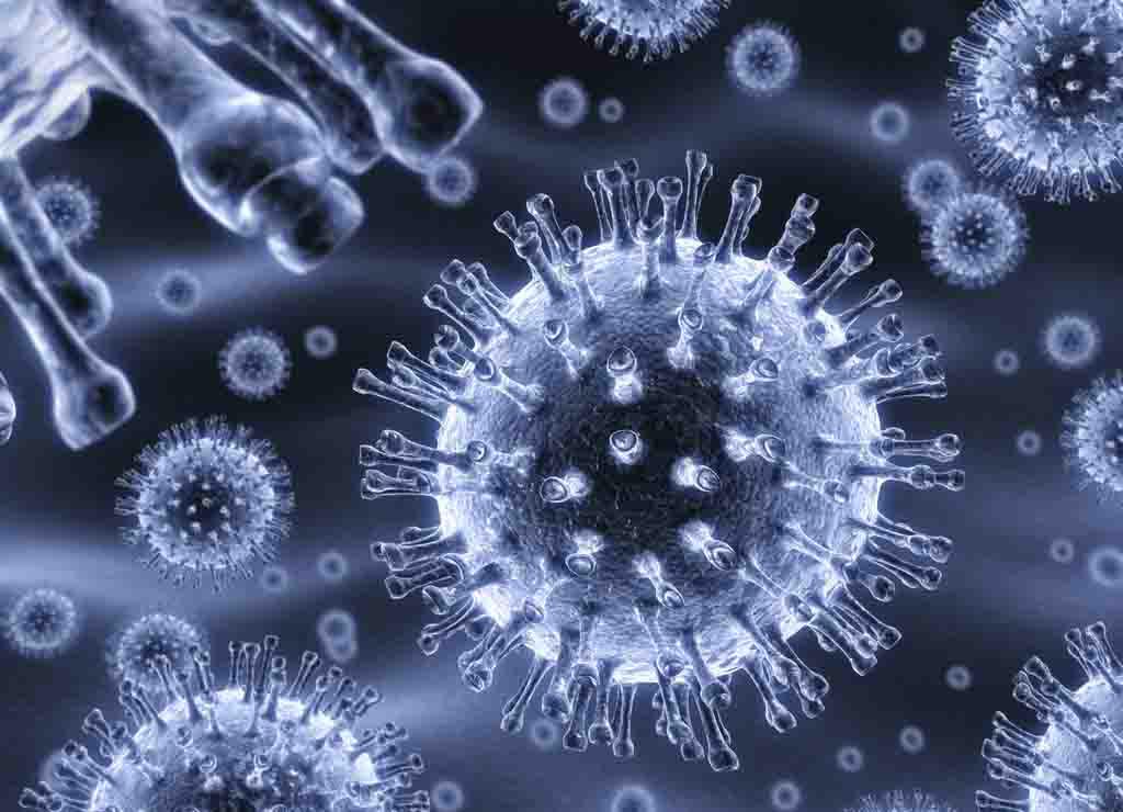 ​转染了MICRORNA-MOCK基因的阴性对照细胞