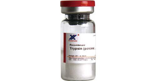肽图分析用胰蛋白酶Sequencing Grad Trypsin