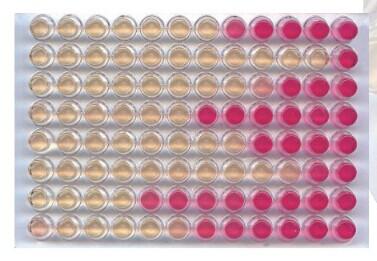 鲍氏多价诊断血清