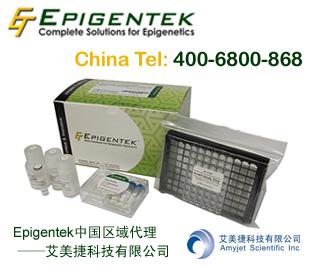 CRE特异基因敲除定量试剂盒-DNA损伤与修复(96次分析) | QuantiSir Specific Gene Knockdown Quantification Kit For DNA Damage/Repair - CRE (96 assays)