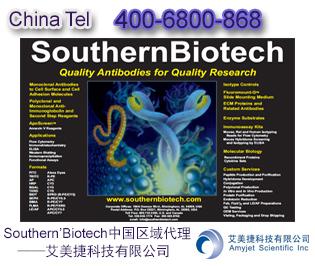 人I型胶原蛋白-溶液 | Human Type I Collagen-Solution